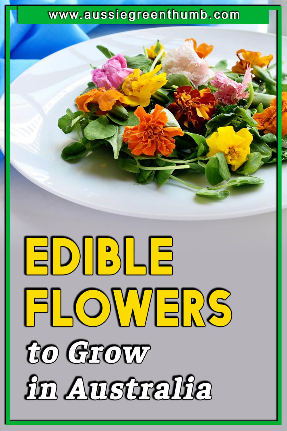 Best Edible Flowers to Grow in Australia