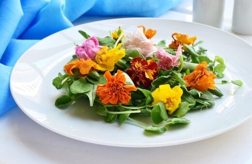 Best Edible Flowers Australia