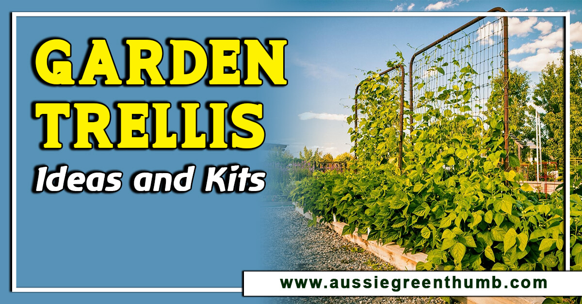 Best Garden Trellis Ideas and Kits for 2025 AGT