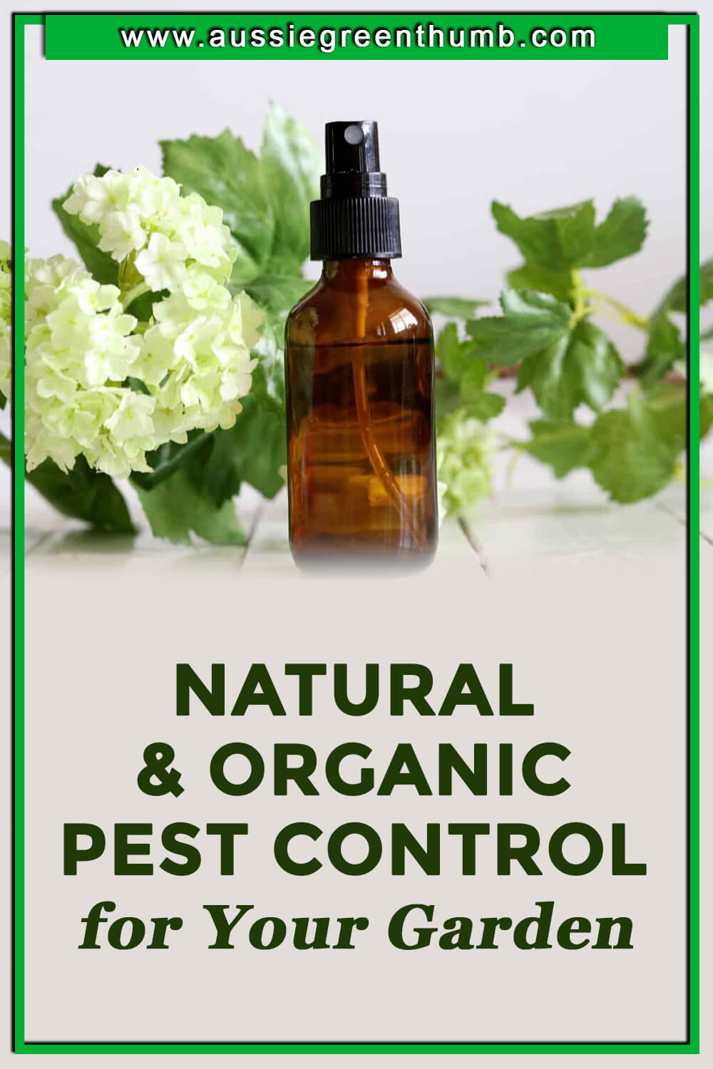 Best Natural and Organic Pest Control for Your Garden