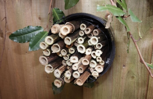 Building a Bee Hotel