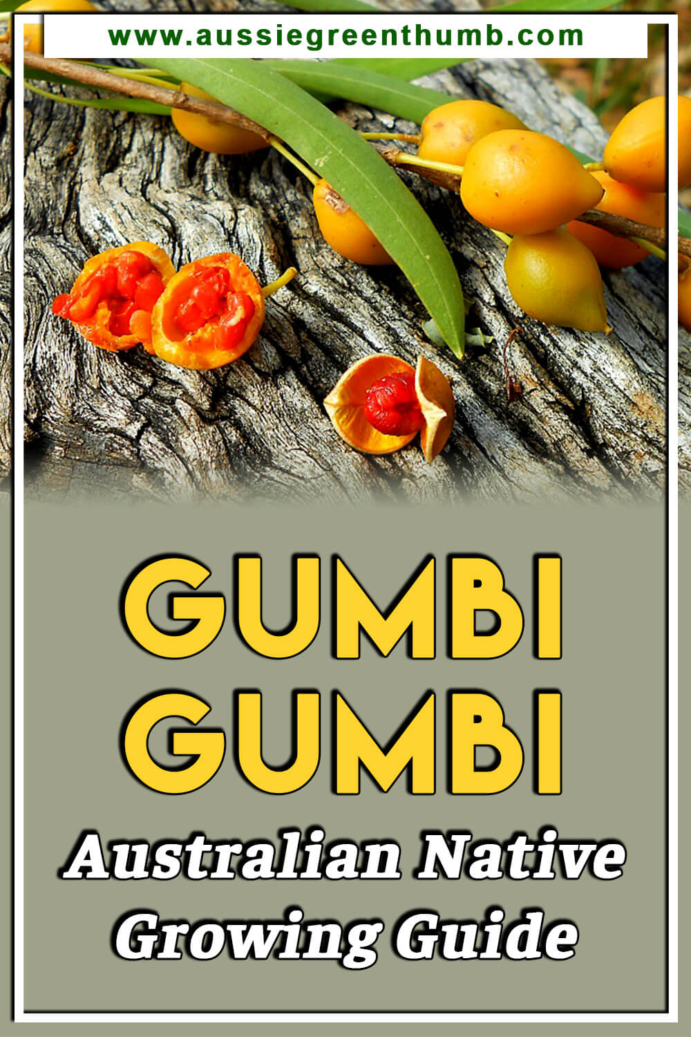 Gumbi Gumbi Australian Native Growing Guide