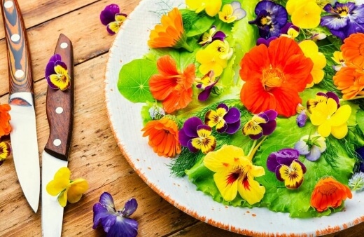 How to Prepare Edible Flowers