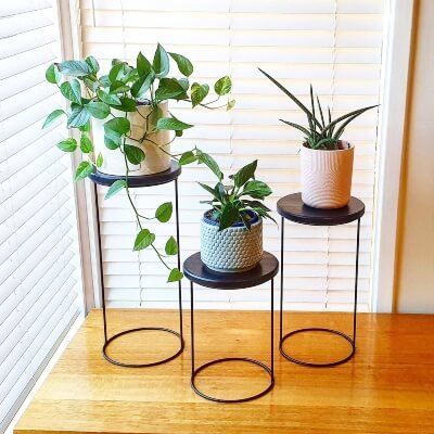Little Marley Plant Stand