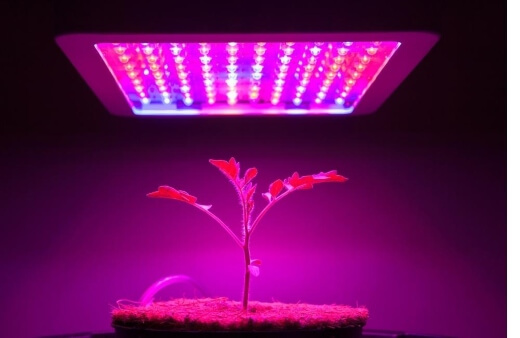 Reviews on Best Growing Lights