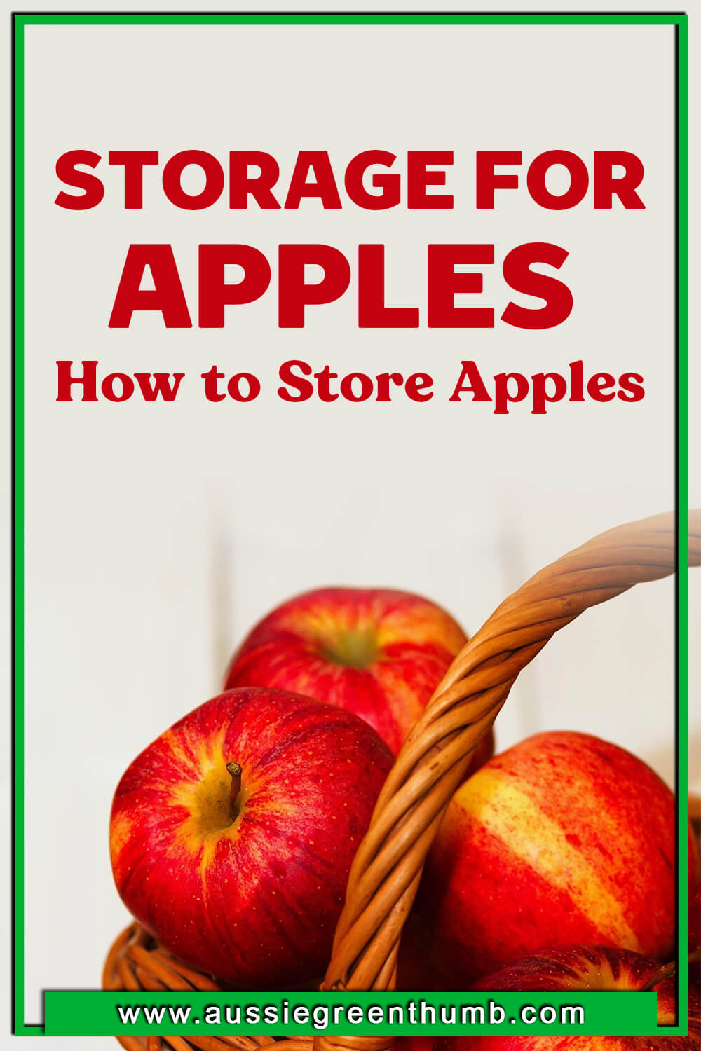 Storage for Apples – How to Store Apples