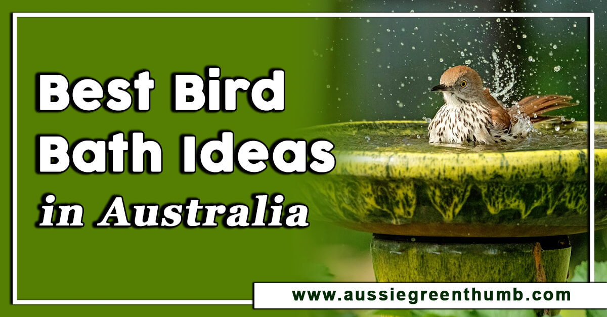 25 Best Bird Bath Ideas In Australia For 2024 AGT   38 Best Bird Bath Idea In Australia For 2022 