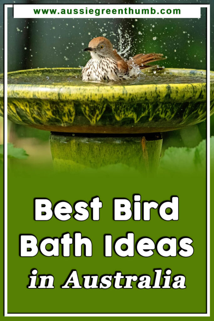 31-best-bird-bath-ideas-in-australia-for-2024-agt