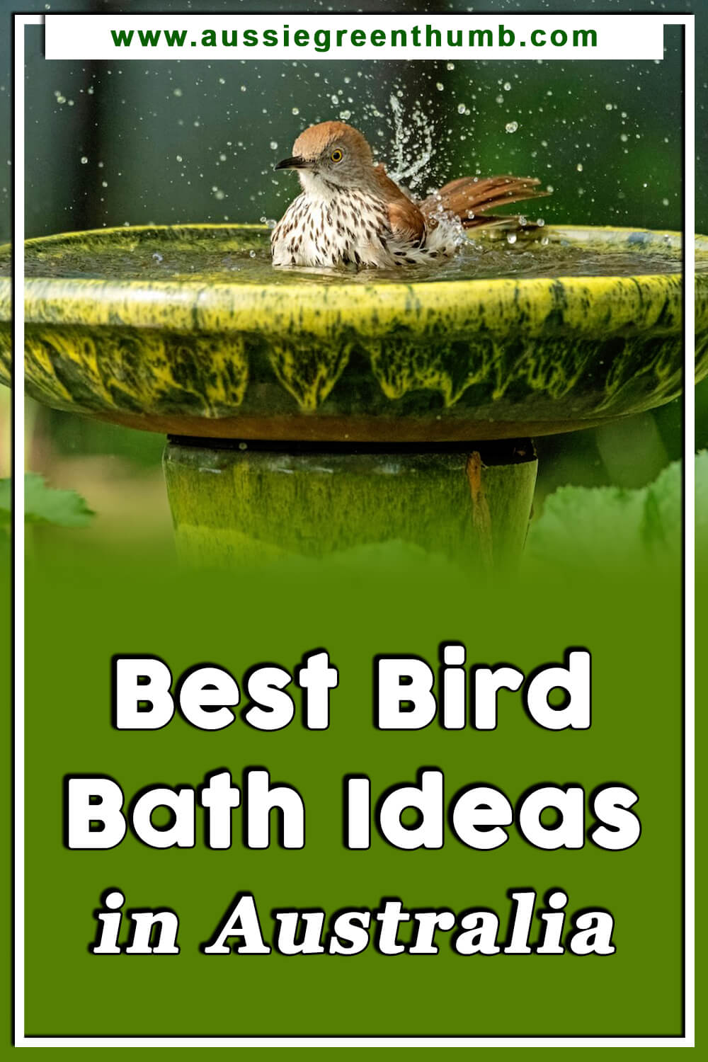 Best Bird Bath Ideas in Australia