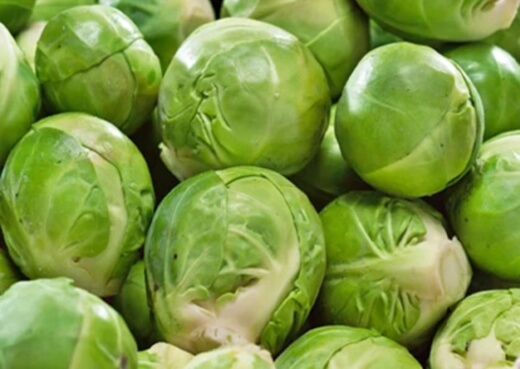 Catskill brussels sprouts typically grow to around 60cm tall and have sprouts between 5-7cm in diameter