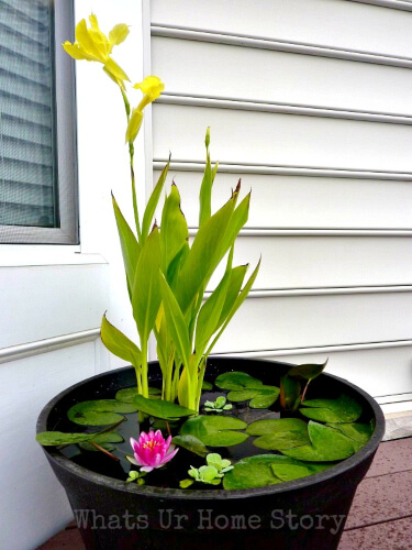 DIY Container Water Garden by Whats Ur Home Story