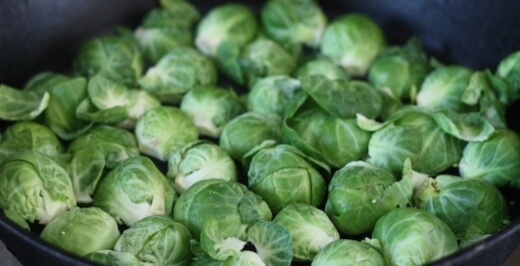 Dagan brussels sprouts ripen well and evenly together on the stalk