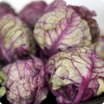 Falstaff Brussels Sprouts