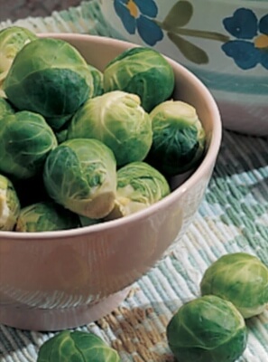Green Gems Brussels Sprouts are well proportioned, grow perfectly straight, and ripen regularly so give perfect sprout stalks every time