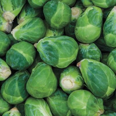 Hestia Brussels Sprouts