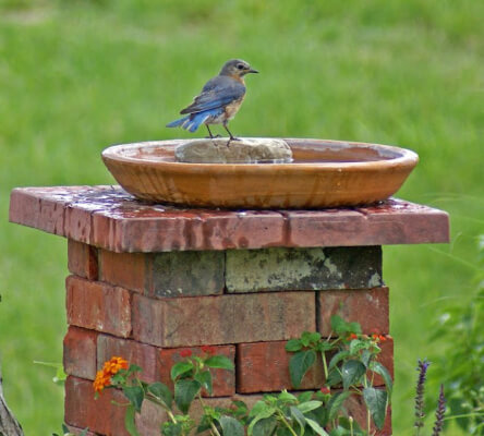 Recycled Bricks Bird Bath by Robin's Nesting Place