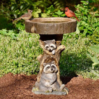 Resin Raccoon Bird Bath Garden Ornament