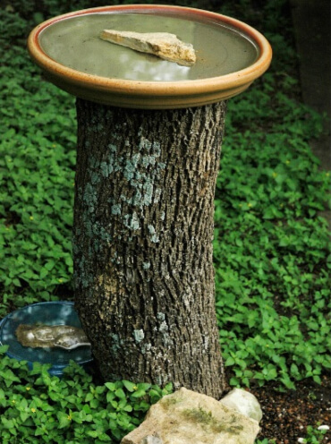 Tree Stump Bird Bath by The Shovel-Ready Garden
