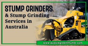 Best Stump Grinders and Stump Grinding Services in Australia