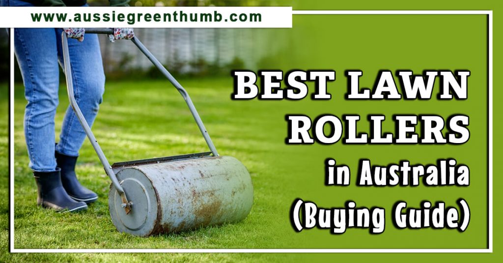 Best Lawn Rollers in Australia (Buying Guide)