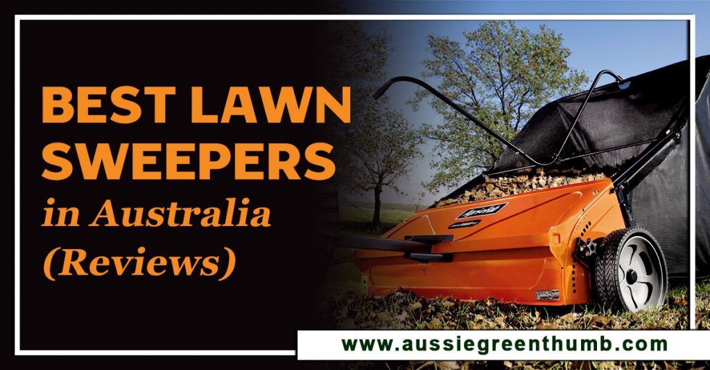 Best Lawn Sweepers in Australia (Reviews)