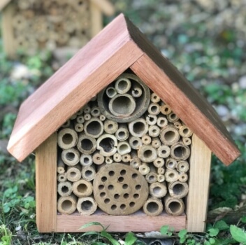 Biome Bee House