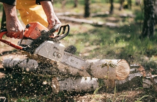 Different Types of Stihl Chainsaw