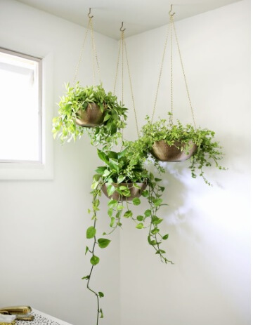 Easy Hanging Plant Basket