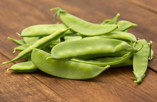 Snow peas, a common name for mangetout or Chinese peas, are vigorous crops in the pea family
