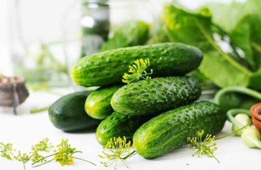 Types of Cucumber Fruits