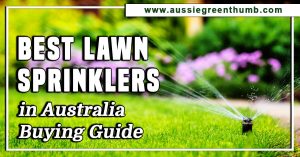 Best Lawn Sprinklers in Australia Buying Guide