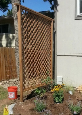 DIY Backyard Garden Trellis Privacy Project