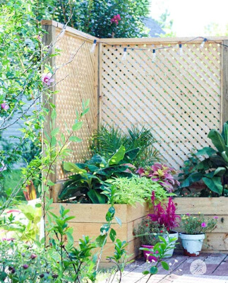 DIY Garden Screen Planter