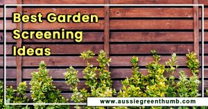 Best Garden Screening Ideas