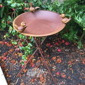 Birdies Birdbath & Birdfeeder