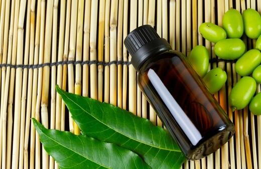 Cold pressed neem oil is the most common form of neem oil online and in garden centres