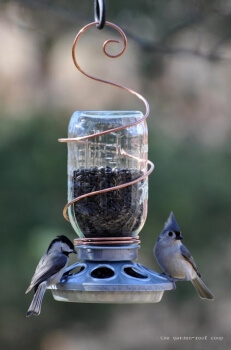 DIY Bird Feeders