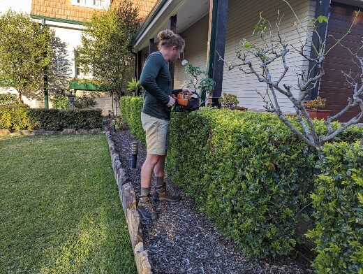 Nathan Schwartz of Aussie Green Thumb demonstrating how to use a hedge trimmer
