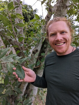 Nathan Schwartz of Aussie Green Thumb holding a Ficus coronata leaf