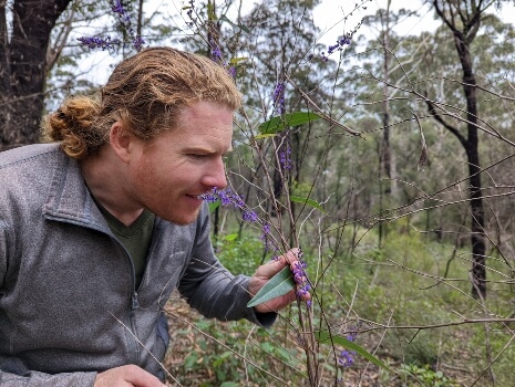 Nathan Schwartz of Aussie Green Thumb smelling a Hardenbergia flower
