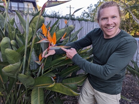 Nathan Schwartz of Aussie Green Thumb with a birds of paradise plant