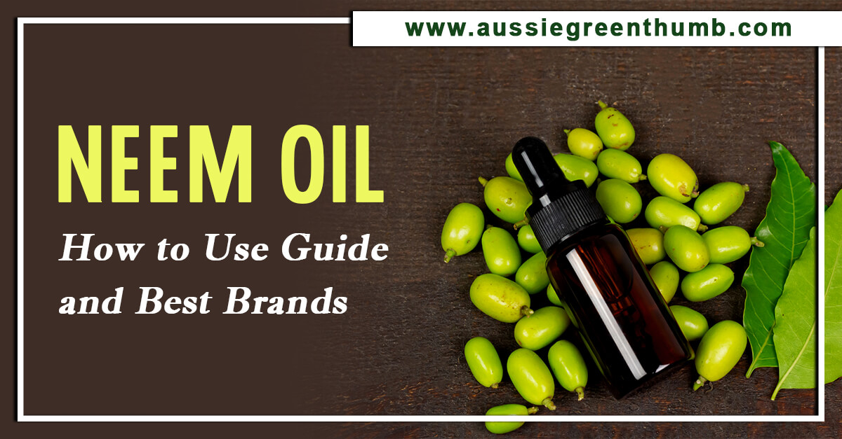 Neem Oil – How to Use Guide and Best Brands