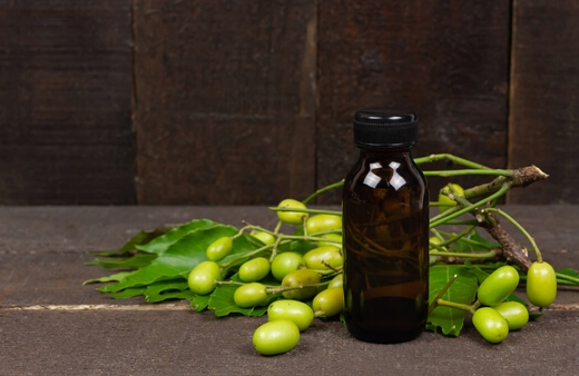 Neem oil is extracted from the oil-rich seeds of the neem tree (Azadirachta indica)