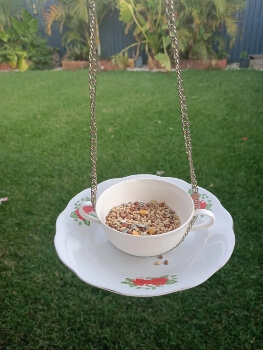 White Plate Bird Feeder