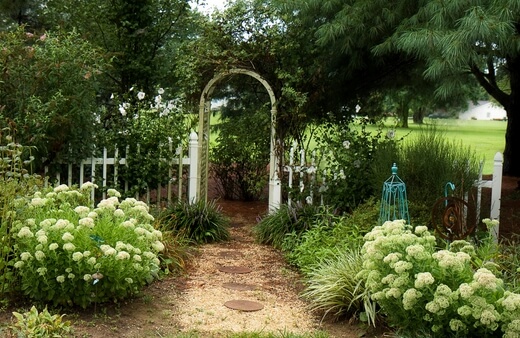 Garden Archway as an Entrance to the Yard