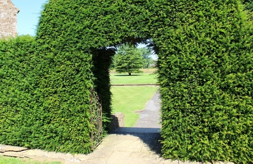 Placing a Garden Archway into a Hedge