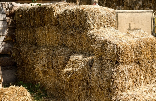 Types of Hay and Their Uses