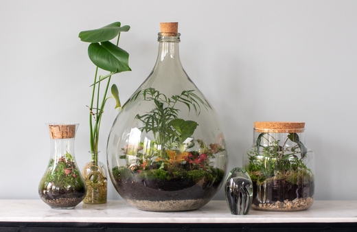 Use cork to seal any glass or jar terrariums