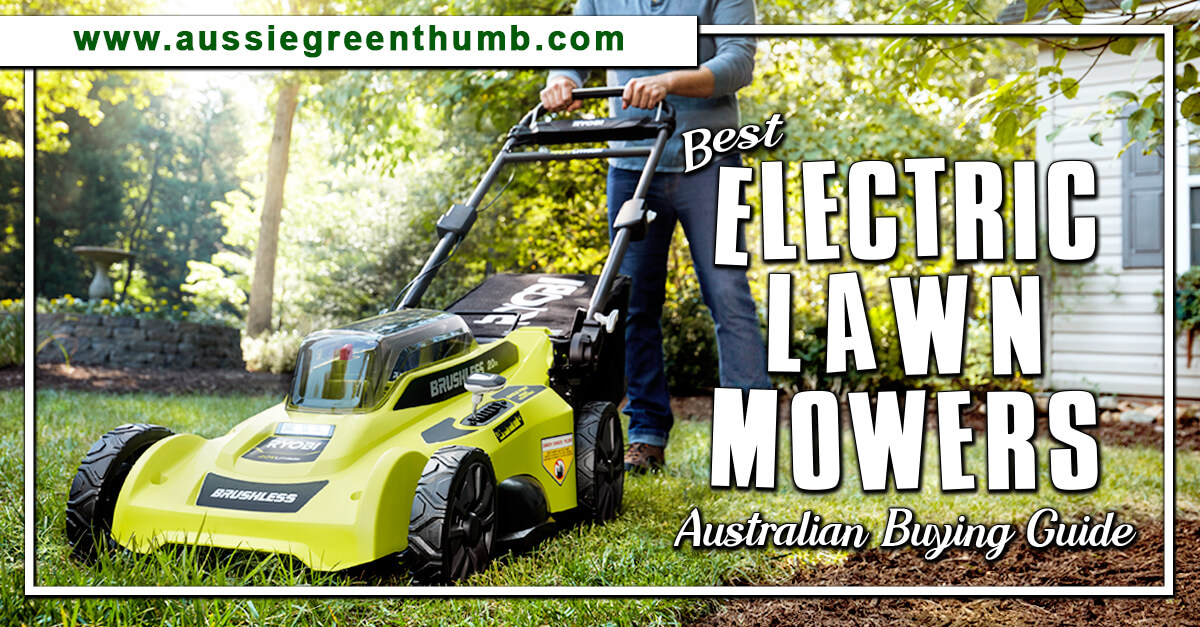 10 Best Electric Lawn Mowers for 2024 Australian Guide
