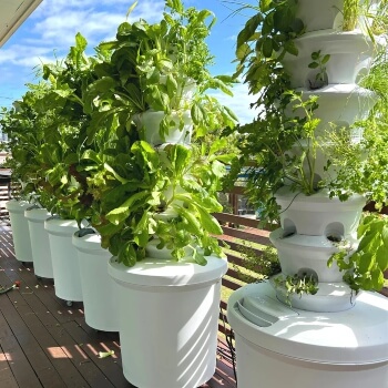 Airgarden Aeroponic Vertical Garden